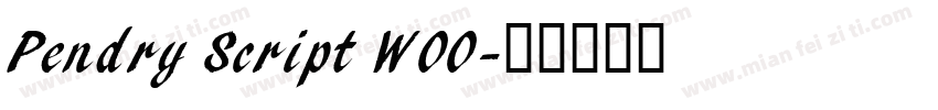 Pendry Script W00字体转换